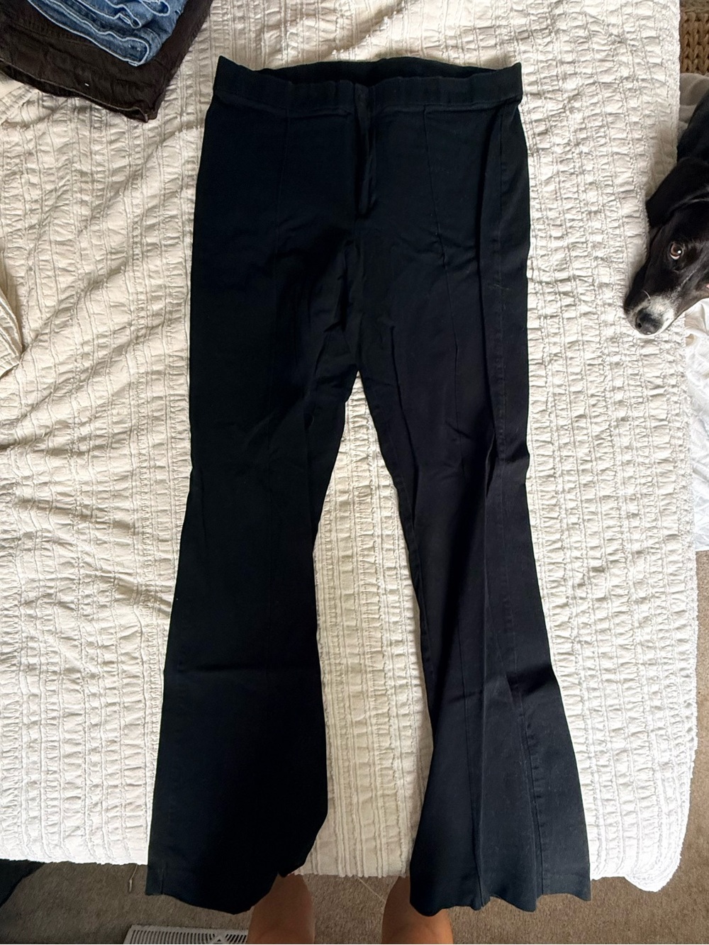Express Black Flare Jeans - Classic Flared Leg